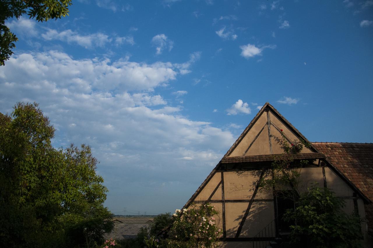 Unter Der Linde Hotel Nordheim Exterior photo